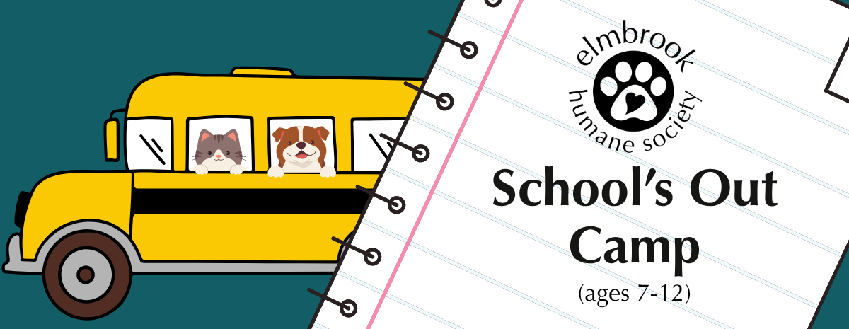 School's Out Camp - 11/02